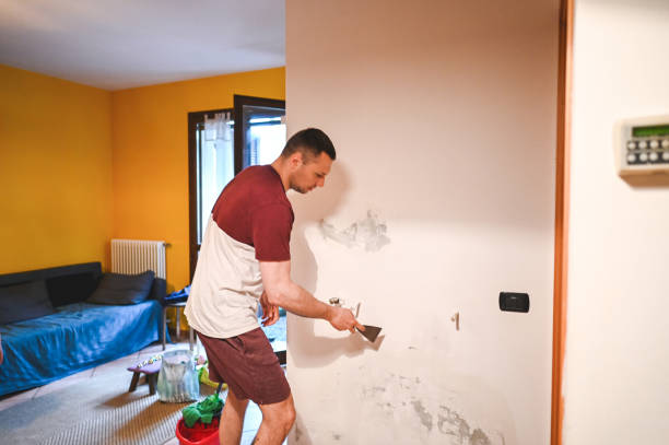 Best Emergency Mold Remediation in Tonkawa, OK