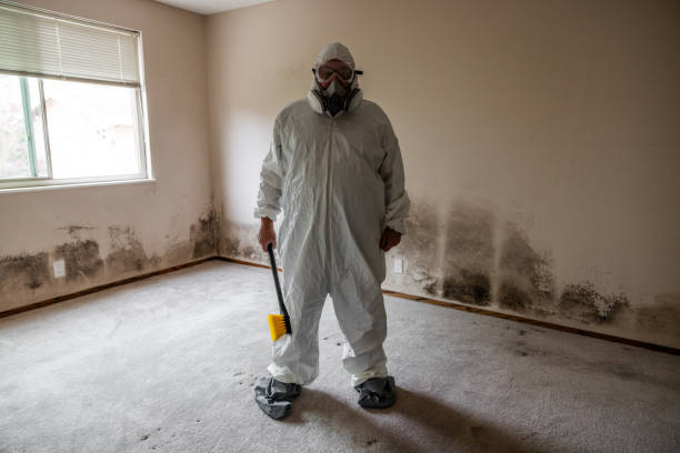 Best Post-Flood Mold Remediation in Tonkawa, OK