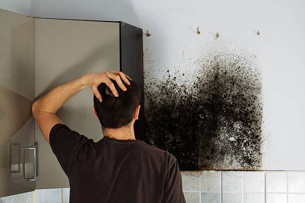 Best Mold Remediation for Specific Building Types in Tonkawa, OK